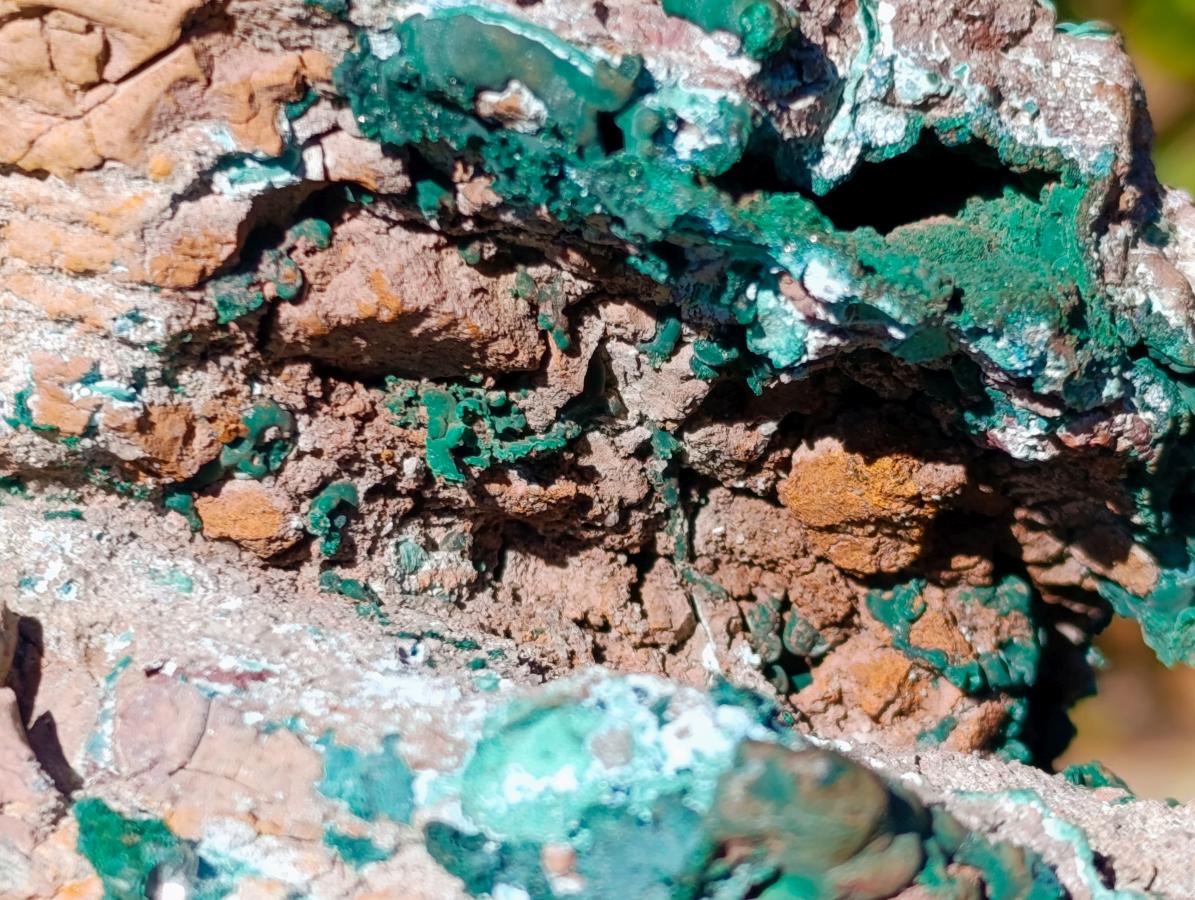 Natural XL Malachite Geode Museum Specimen x 1 From Kolwezi, Congo