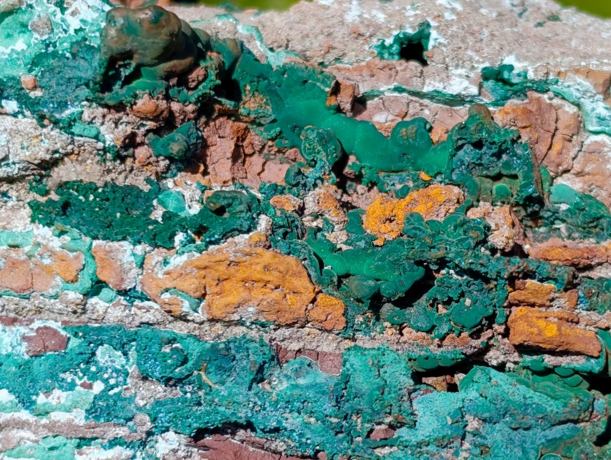 Natural XL Malachite Geode Museum Specimen x 1 From Kolwezi, Congo