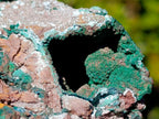 Natural XL Malachite Geode Museum Specimen x 1 From Kolwezi, Congo