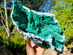 Natural XL Malachite Geode Museum Specimen x 1 From Kolwezi, Congo