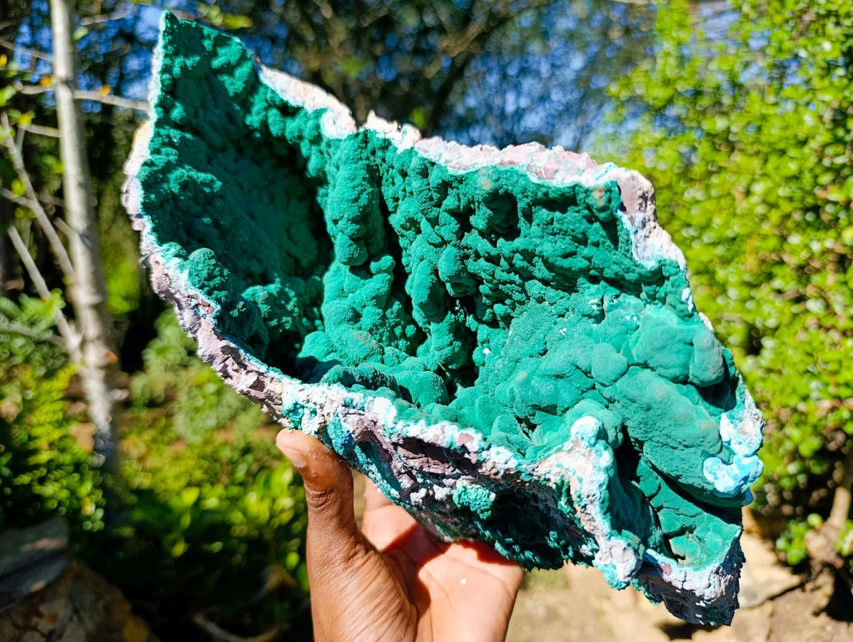 Natural XL Malachite Geode Museum Specimen x 1 From Kolwezi, Congo