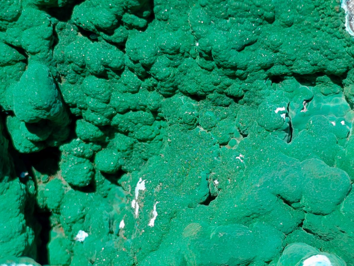 Natural XL Malachite Geode Museum Specimen x 1 From Kolwezi, Congo