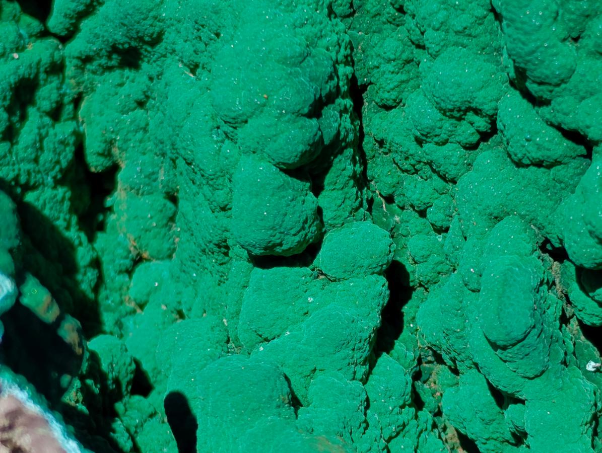 Natural XL Malachite Geode Museum Specimen x 1 From Kolwezi, Congo