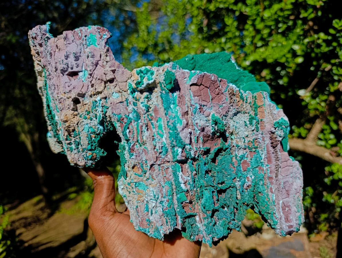 Natural XL Malachite Geode Museum Specimen x 1 From Kolwezi, Congo