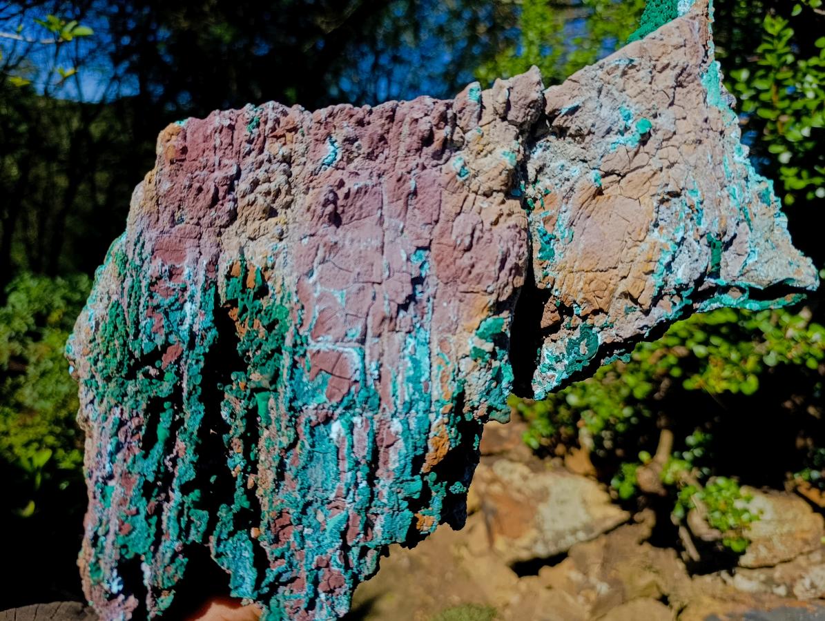 Natural XL Malachite Geode Museum Specimen x 1 From Kolwezi, Congo