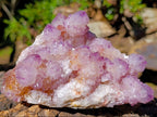Natural Spirit Amethyst Crystal Cluster x 1 From Boekenhouthoek, South Africa
