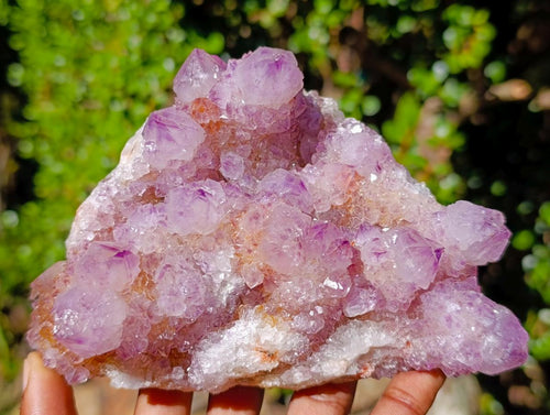 Natural Spirit Amethyst Crystal Cluster x 1 From Boekenhouthoek, South Africa