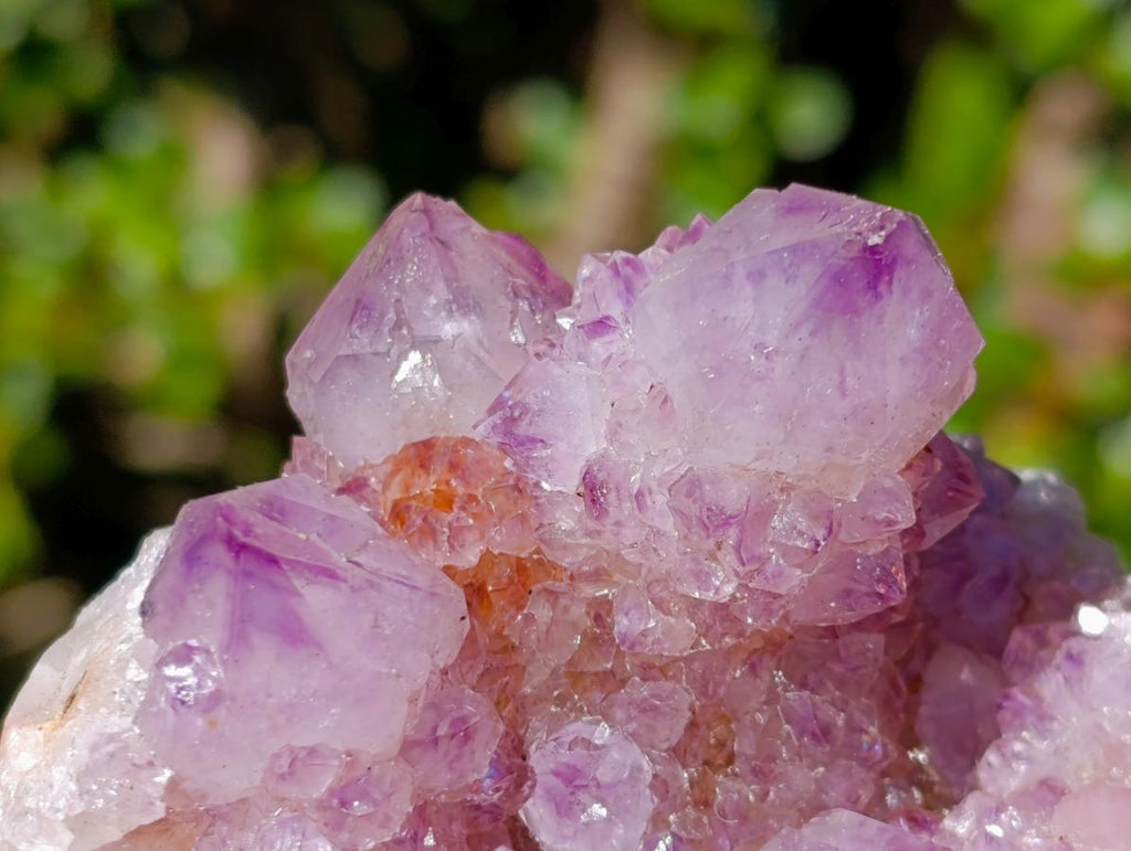 Natural Spirit Amethyst Crystal Cluster x 1 From Boekenhouthoek, South Africa