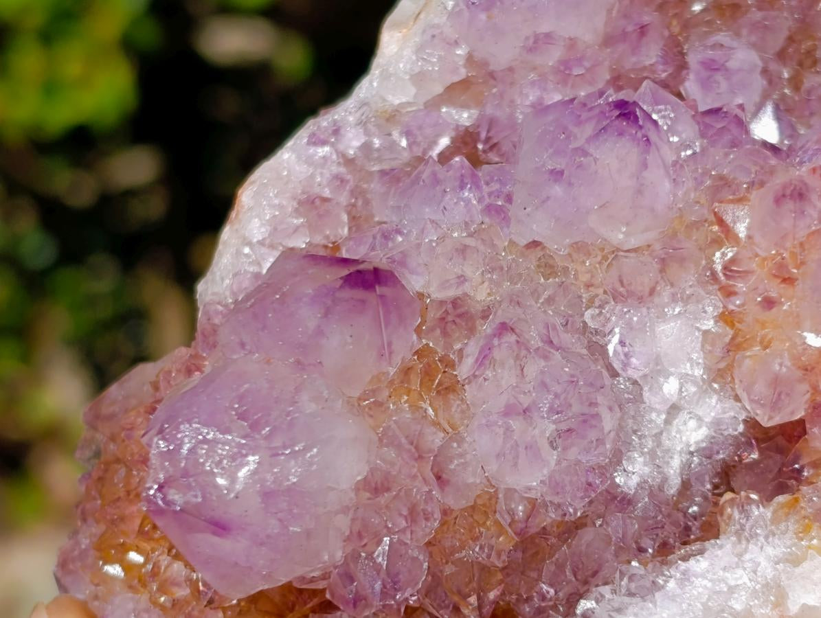 Natural Spirit Amethyst Crystal Cluster x 1 From Boekenhouthoek, South Africa