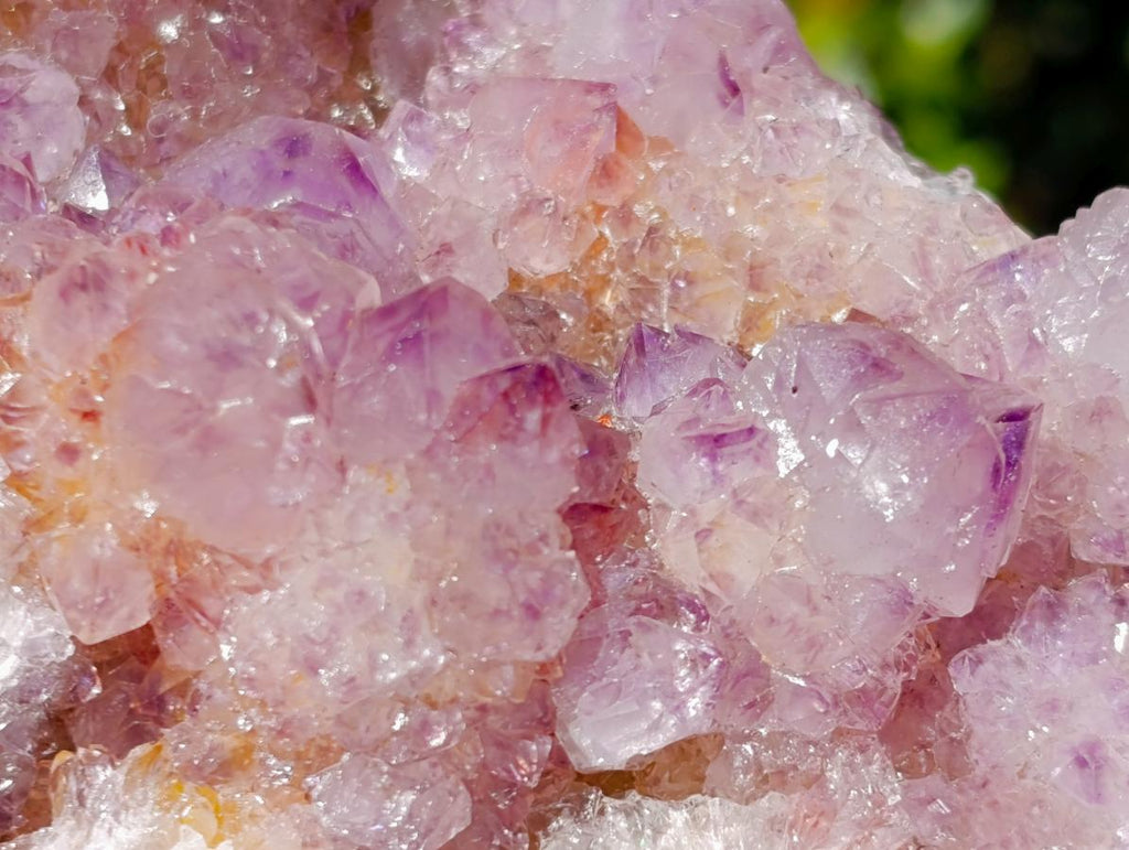 Natural Spirit Amethyst Crystal Cluster x 1 From Boekenhouthoek, South Africa