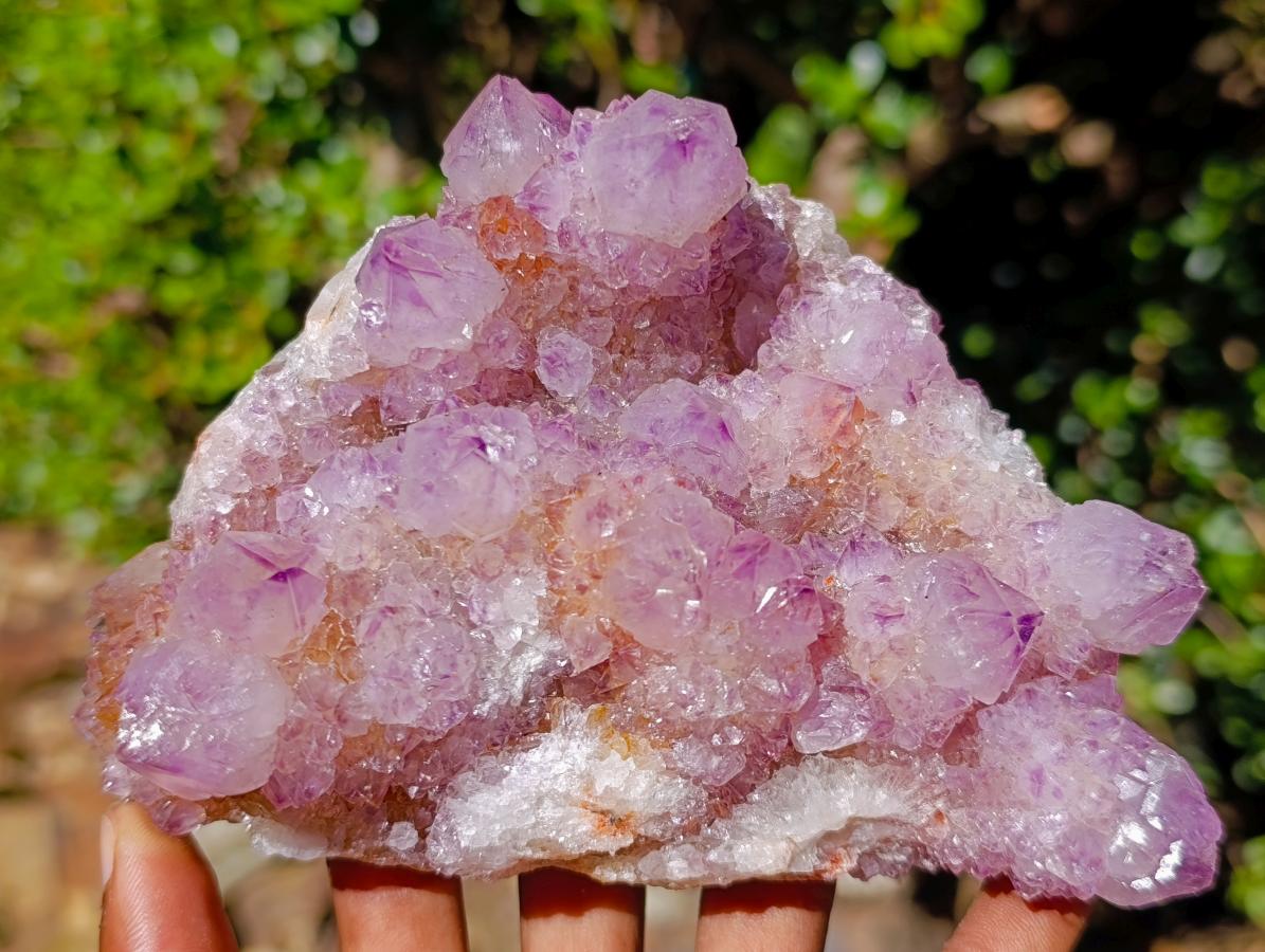 Natural Spirit Amethyst Crystal Cluster x 1 From Boekenhouthoek, South Africa