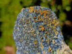 Natural Rare Foitite on Feldspar Specimen x 1 From Erongo Mountain, Namibia