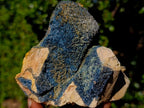Natural Rare Foitite on Feldspar Specimen x 1 From Erongo Mountain, Namibia
