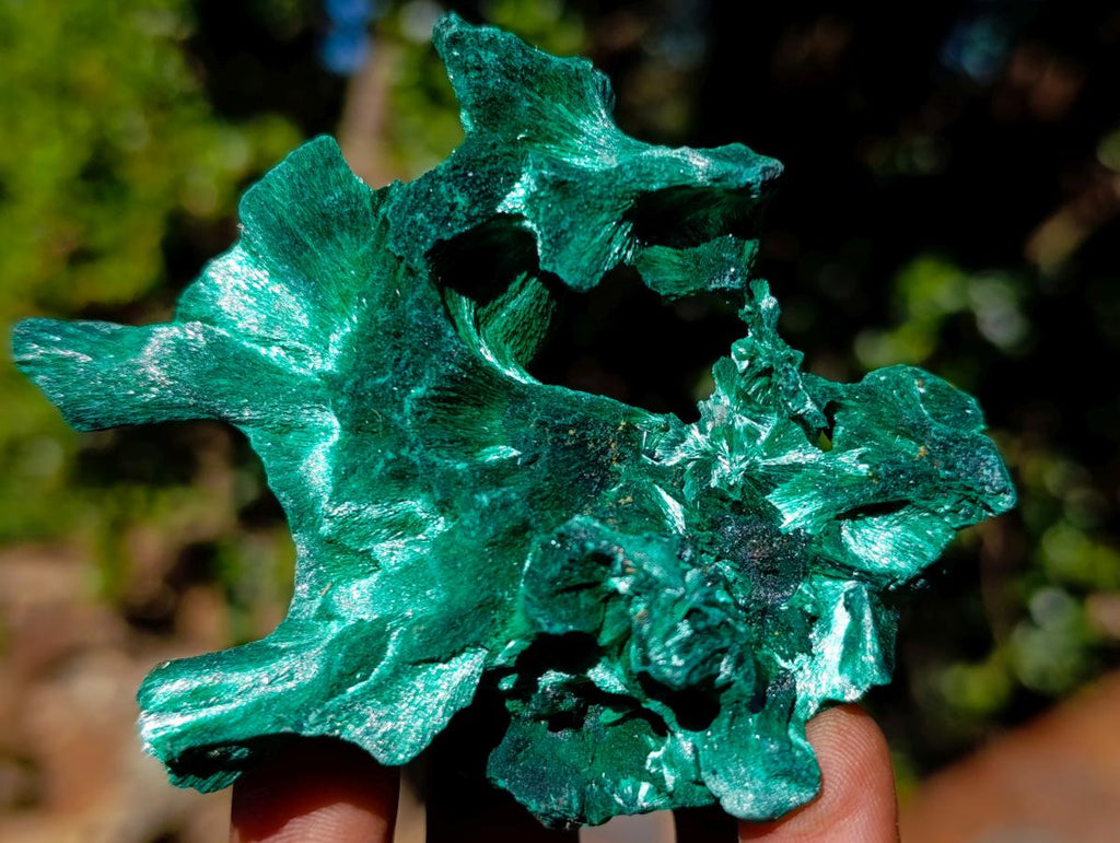 Natural Mix of African Minerals Set of 6 x 1 From Southern Africa