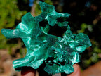 Natural Mix of African Minerals Set of 6 x 1 From Southern Africa