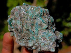 Natural Mix of African Minerals Set of 6 x 1 From Southern Africa