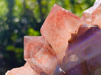 Natural Large Red Hematoid Quartz Crystal Cluster x 1 From Karoi, Zimbabwe
