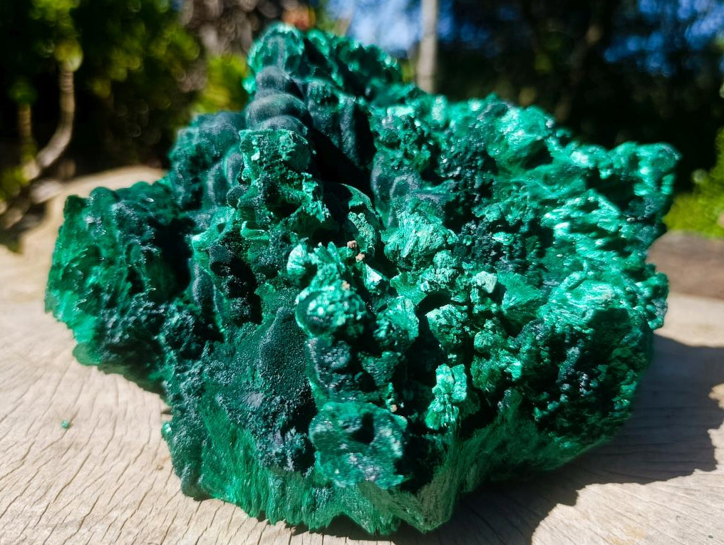 Natural XL Exquisite Silky Malachite Specimen x 1 From Kasompe, Congo