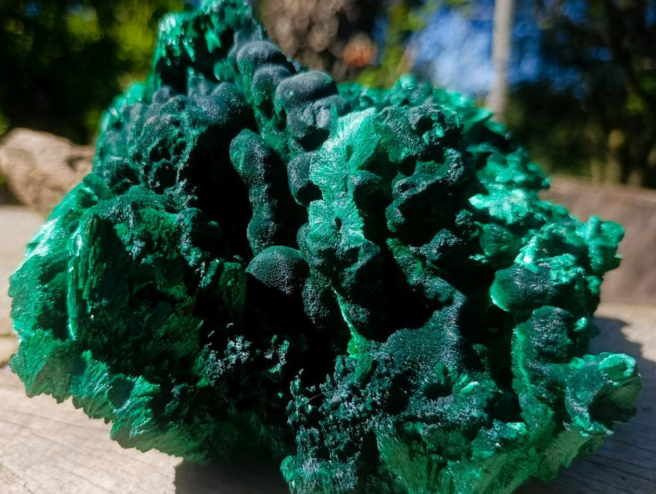 Natural XL Exquisite Silky Malachite Specimen x 1 From Kasompe, Congo