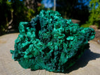 Natural XL Exquisite Silky Malachite Specimen x 1 From Kasompe, Congo