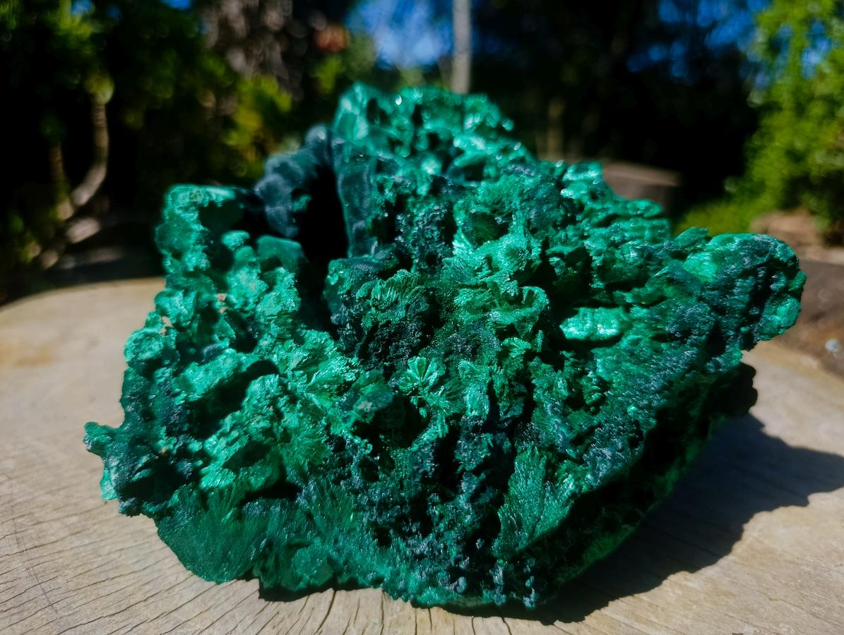 Natural XL Exquisite Silky Malachite Specimen x 1 From Kasompe, Congo