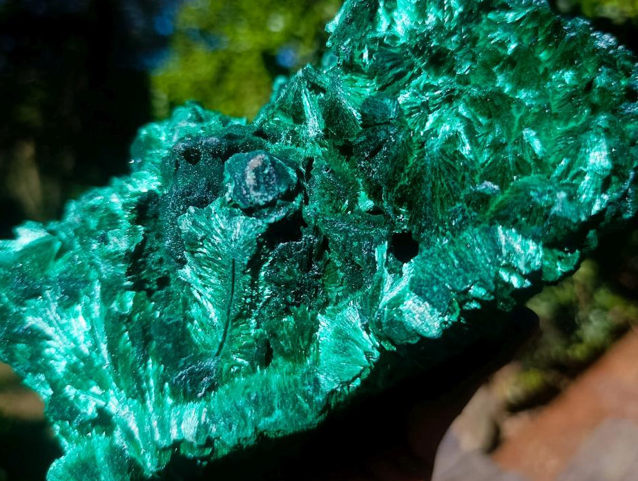 Natural XL Exquisite Silky Malachite Specimen x 1 From Kasompe, Congo