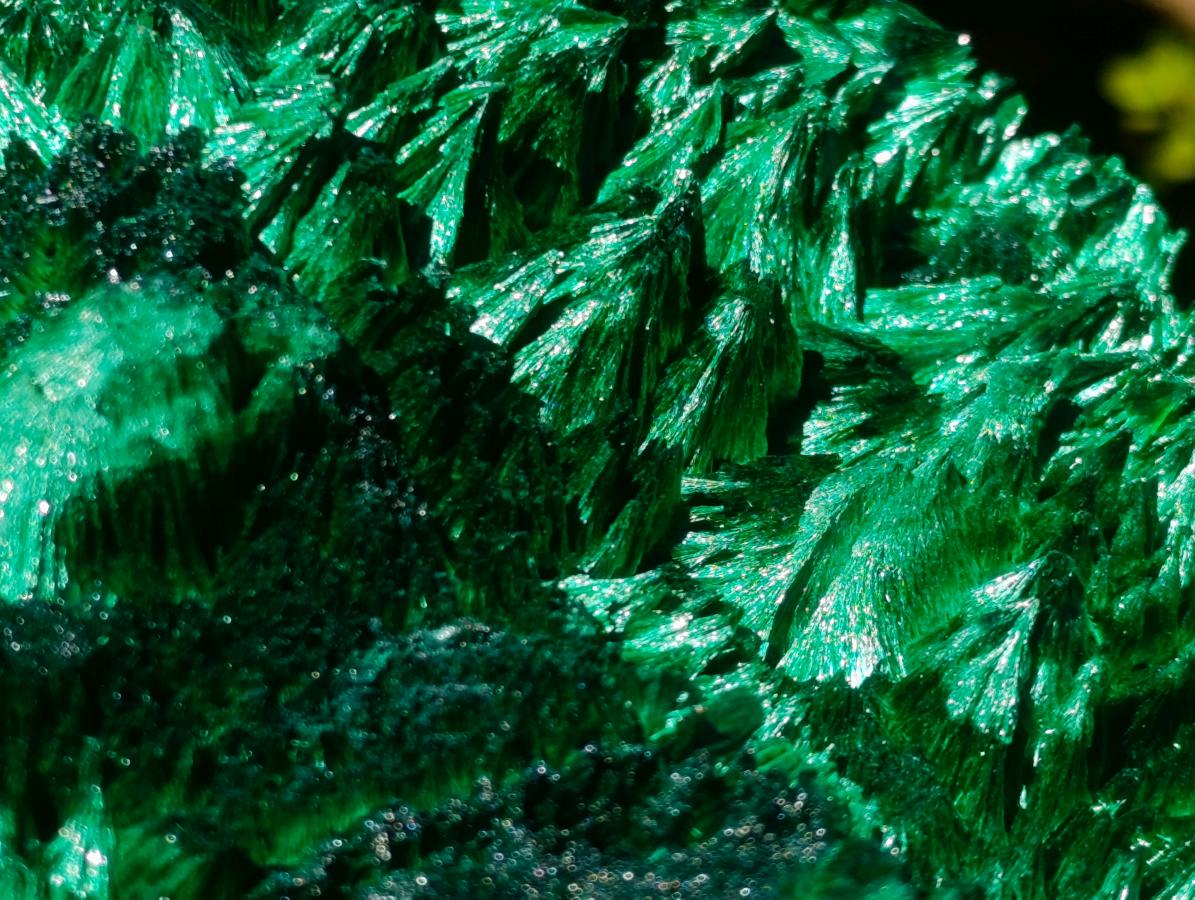 Natural XL Exquisite Silky Malachite Specimen x 1 From Kasompe, Congo