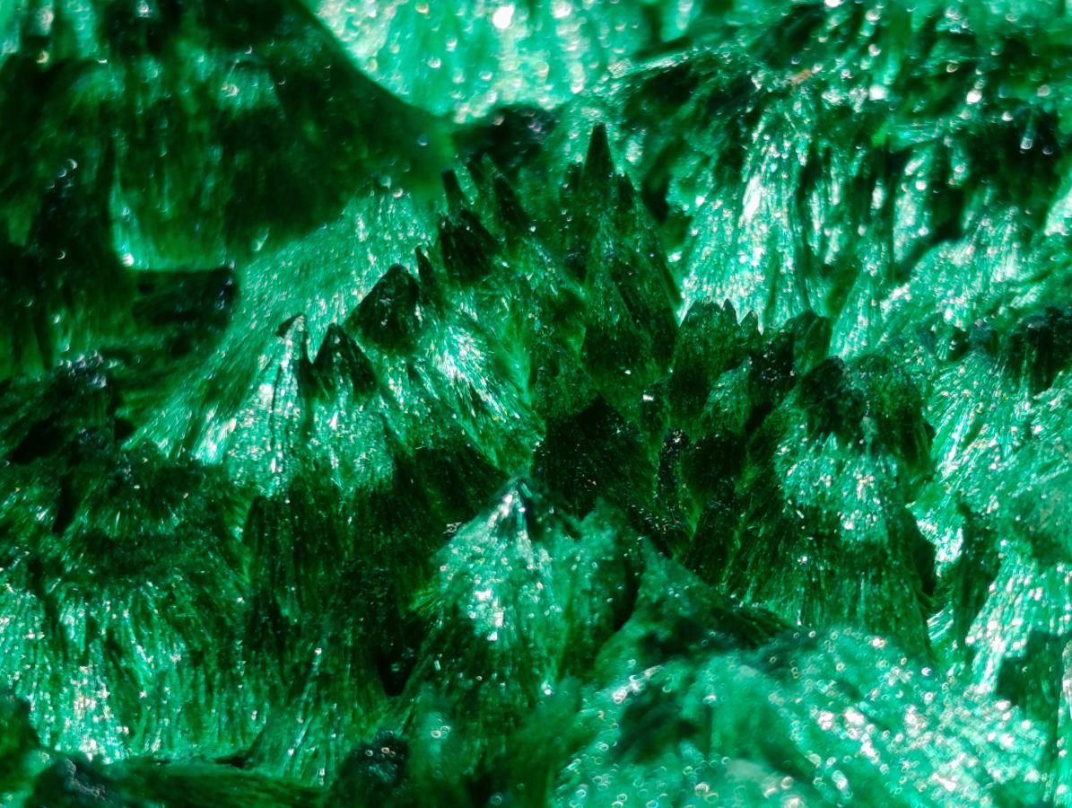 Natural XL Exquisite Silky Malachite Specimen x 1 From Kasompe, Congo