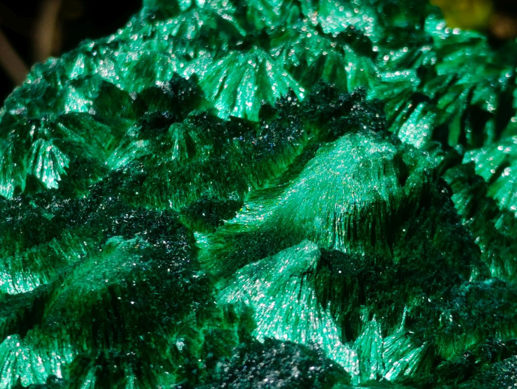Natural XL Exquisite Silky Malachite Specimen x 1 From Kasompe, Congo