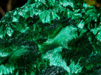 Natural XL Exquisite Silky Malachite Specimen x 1 From Kasompe, Congo