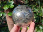 Polished Golden Pyrite "Pharaoh Stone" Sphere x 1 From Iron Duke Mine, Zimbabwe