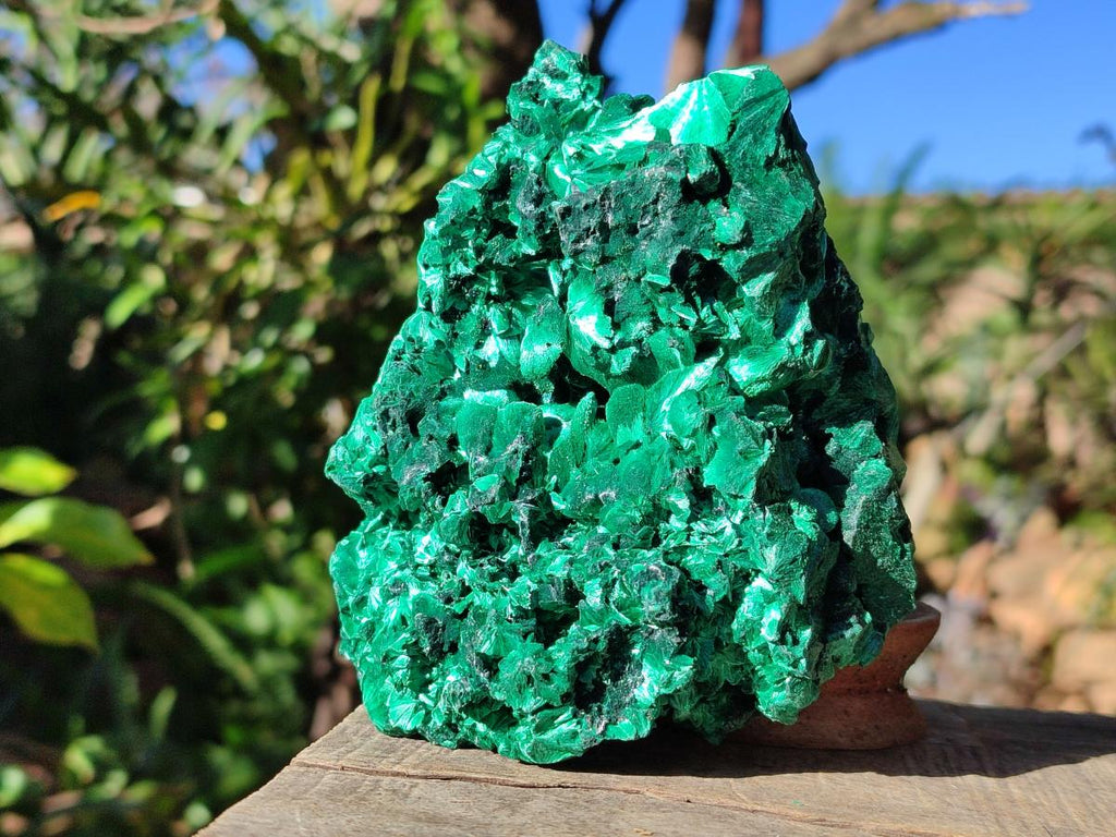 Natural AA Grade Silky Malachite Specimen x 1 From Kasompe, Congo