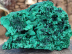 Natural AA Grade Silky Malachite Specimen x 1 From Kasompe, Congo