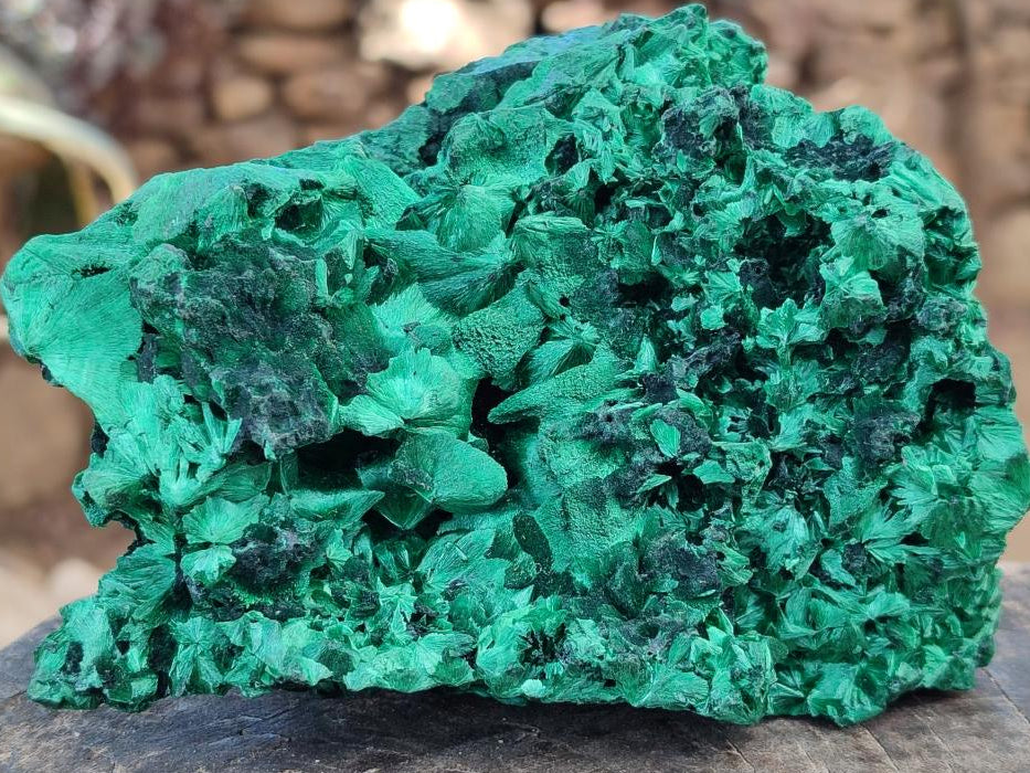 Natural AA Grade Silky Malachite Specimen x 1 From Kasompe, Congo