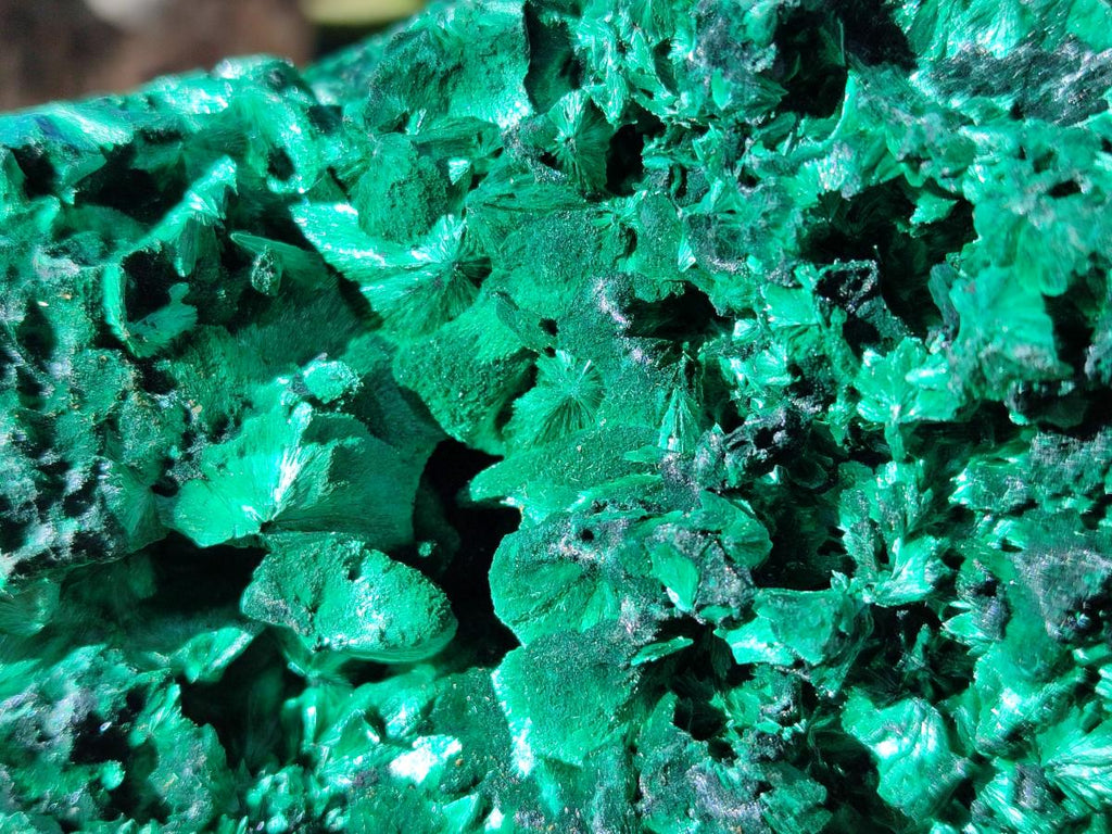 Natural AA Grade Silky Malachite Specimen x 1 From Kasompe, Congo