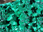 Natural AA Grade Silky Malachite Specimen x 1 From Kasompe, Congo