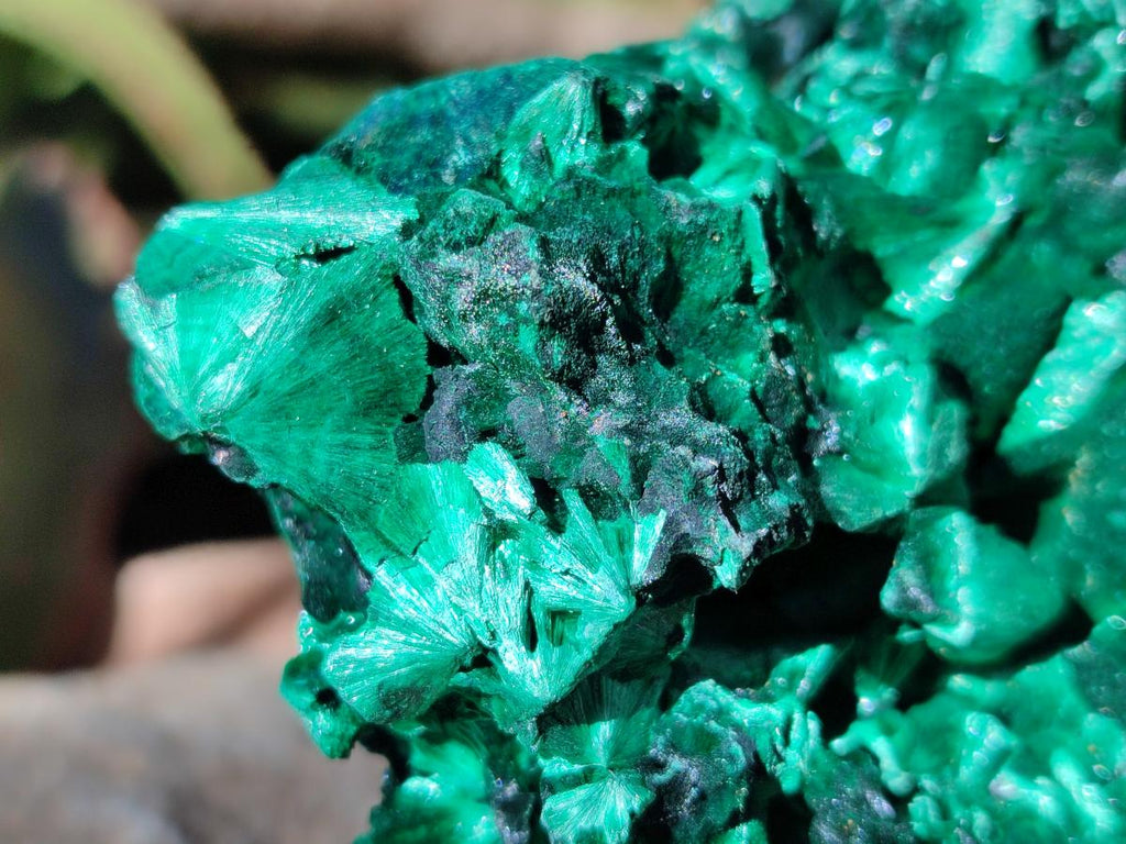 Natural AA Grade Silky Malachite Specimen x 1 From Kasompe, Congo