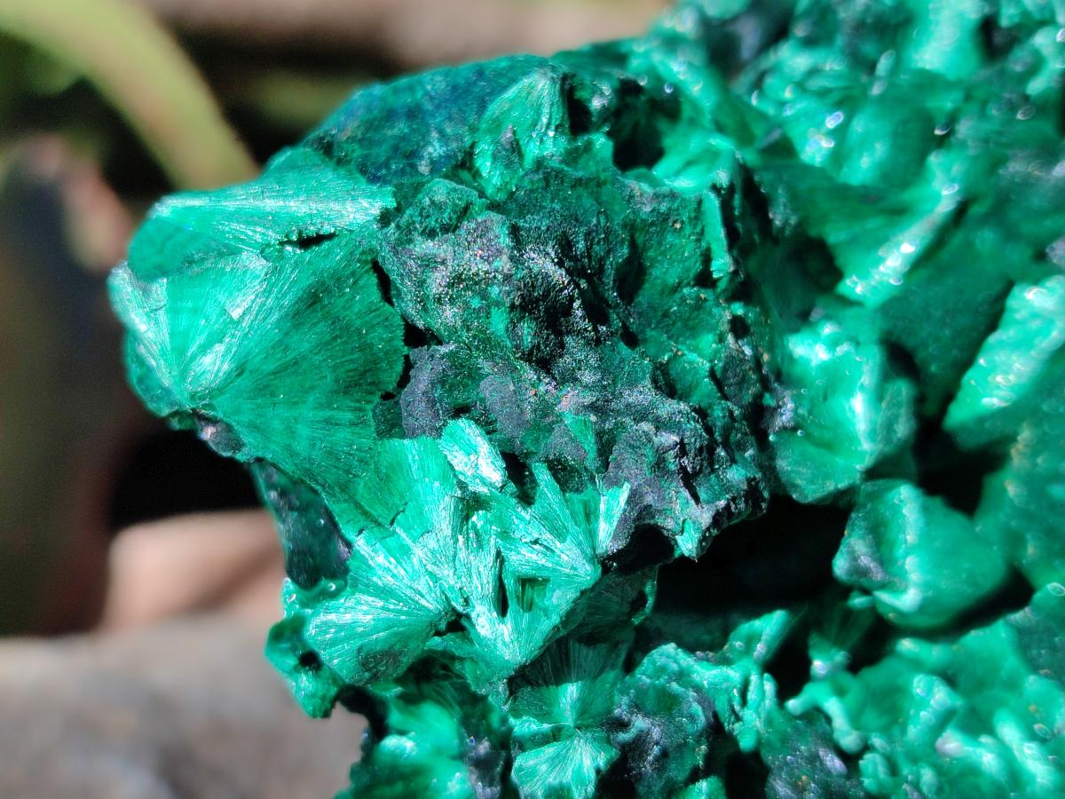 Natural AA Grade Silky Malachite Specimen x 1 From Kasompe, Congo