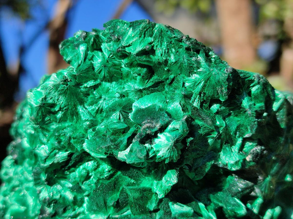 Natural AA Grade Silky Malachite Specimen x 1 From Kasompe, Congo