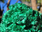 Natural AA Grade Silky Malachite Specimen x 1 From Kasompe, Congo