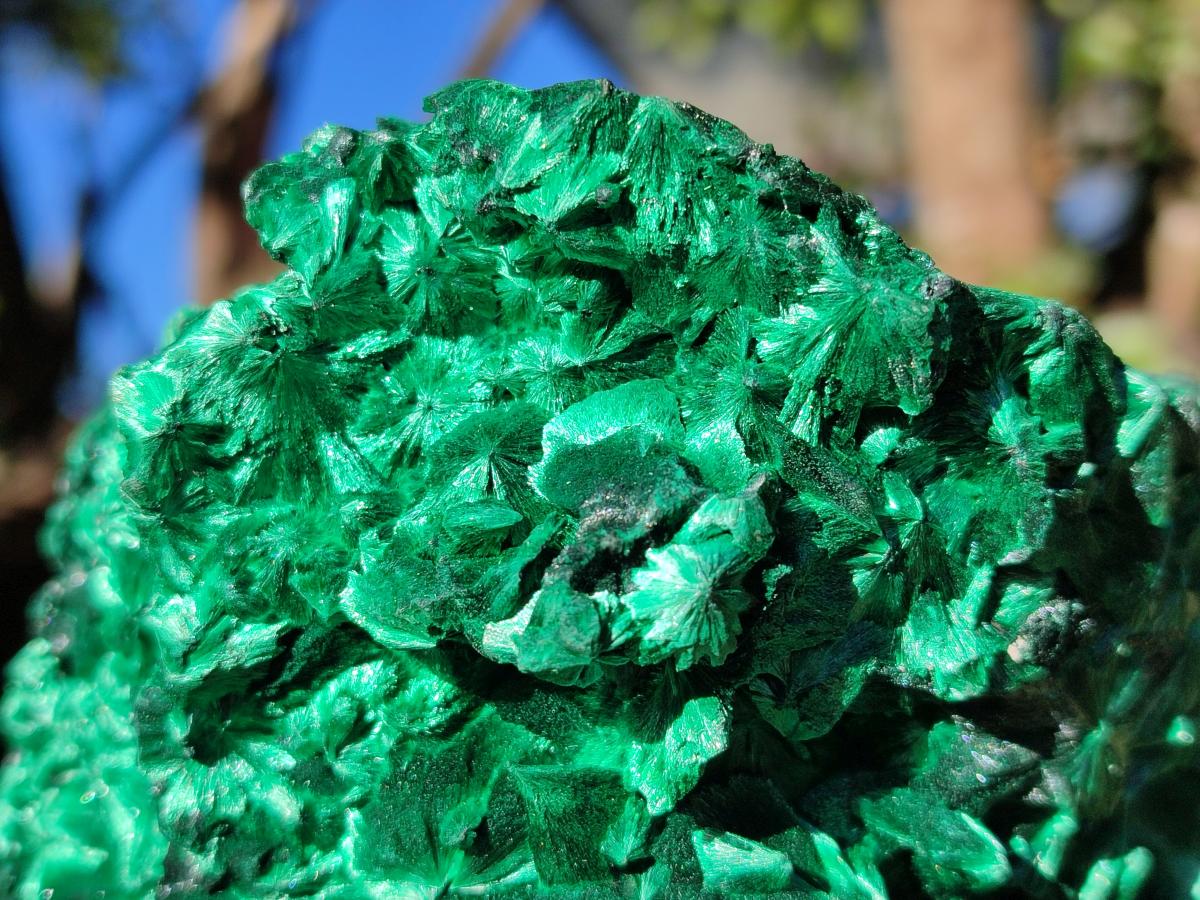 Natural AA Grade Silky Malachite Specimen x 1 From Kasompe, Congo