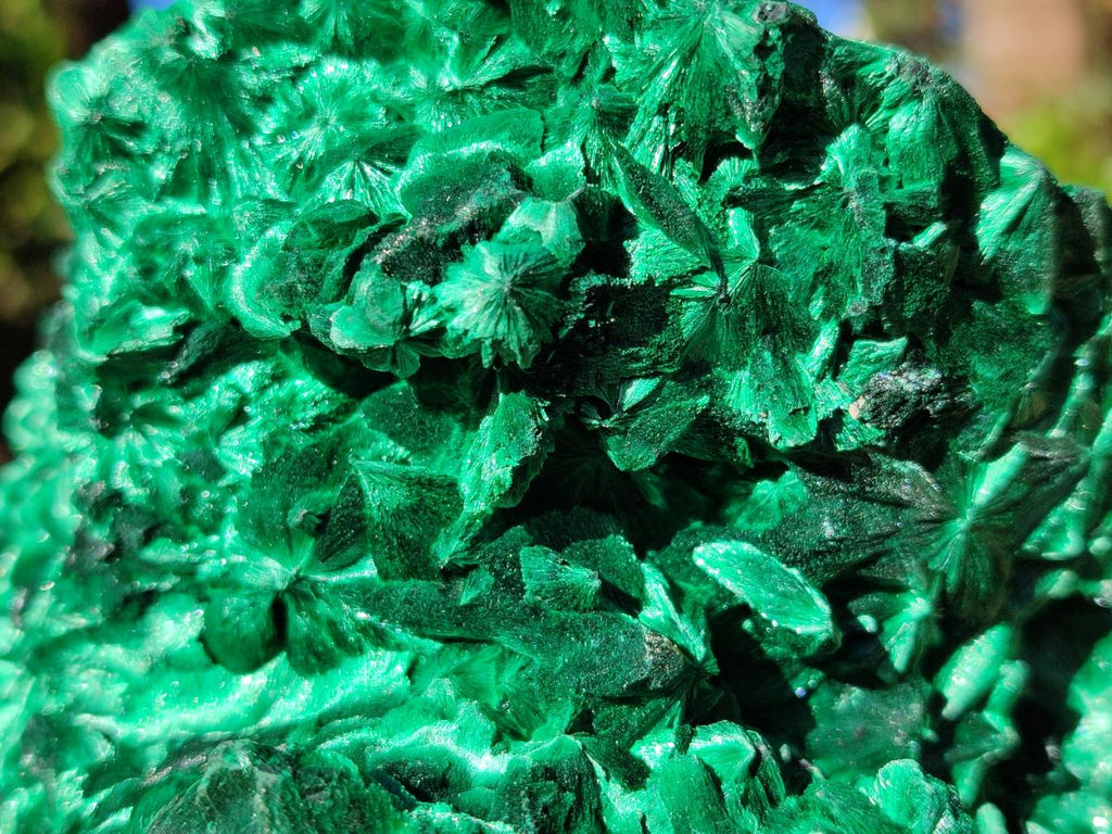 Natural AA Grade Silky Malachite Specimen x 1 From Kasompe, Congo