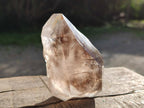 Natural Smokey Brandberg Quartz Crystal with Enhydro x 1 From Brandberg, Namibia