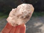 Natural Smokey Brandberg Quartz Crystal with Enhydro x 1 From Brandberg, Namibia