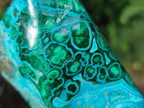 Polished Malacolla Display Specimen x 1 From Kulukuluku, Congo