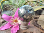 Polished Golden Pyrite "Pharaoh Stone" Sphere x 1 From Iron Duke Mine, Zimbabwe