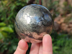 Polished Golden Pyrite "Pharaoh Stone" Sphere x 1 From Iron Duke Mine, Zimbabwe