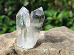 Polished Mix of Selected Gemstones, Minerals and Crystals Gift Set of 12 x 1 From Southern Africa