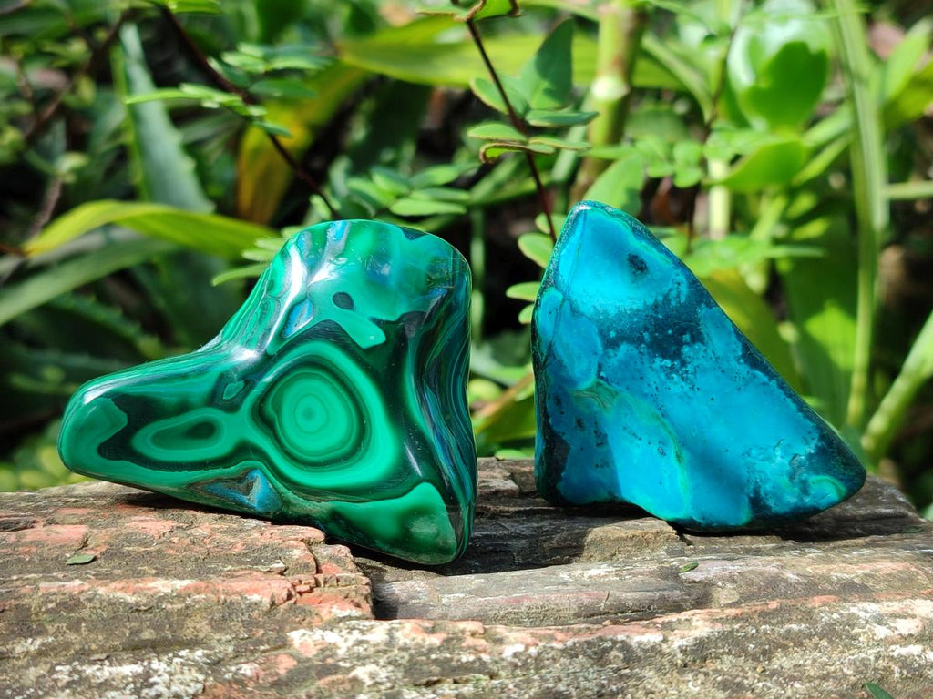 Polished Mix of Selected Gemstones, Minerals and Crystals Gift Set of 12 x 1 From Southern Africa