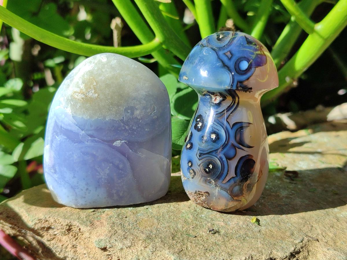 Polished Mix of Selected Gemstones, Minerals and Crystals Gift Set of 12 x 1 From Southern Africa